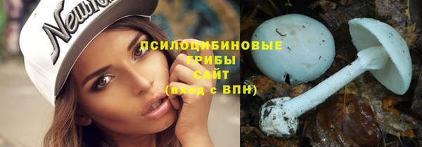 стафф Медвежьегорск