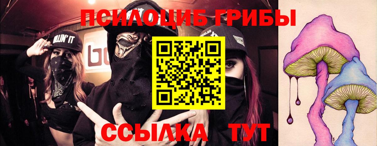 что такое   Луховицы  Галлюциногенные грибы ЛСД 