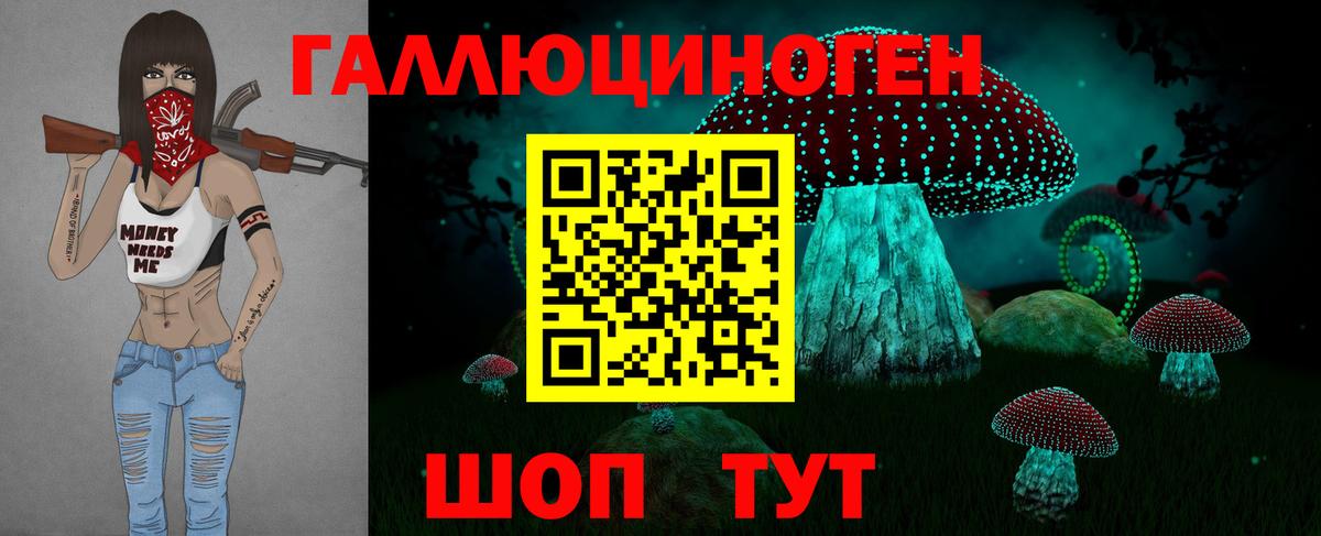 Псилоцибиновые грибы Psilocybe  Вход с VPN  Луховицы 